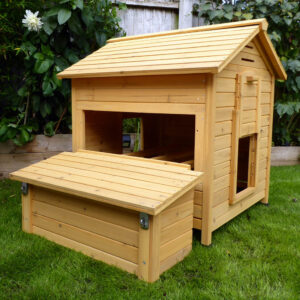 Devon Hen House - The Traditional One
