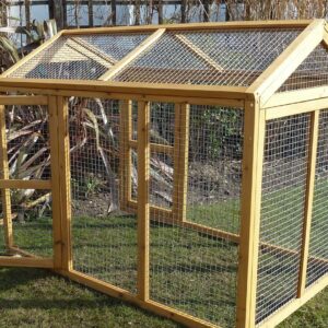 Devon Chicken Run