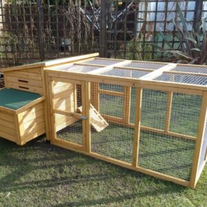 Kent Chicken Coop & Run
