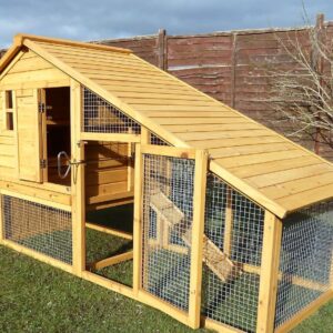 Sussex Chicken House - The Urban One